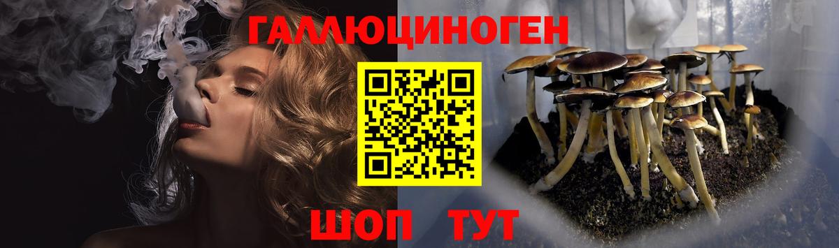 Псилоцибиновые грибы Magic Shrooms  Вход с VPN  как найти наркотики  Галлюциногенные грибы GOLDEN TEACHER  Белая Калитва 